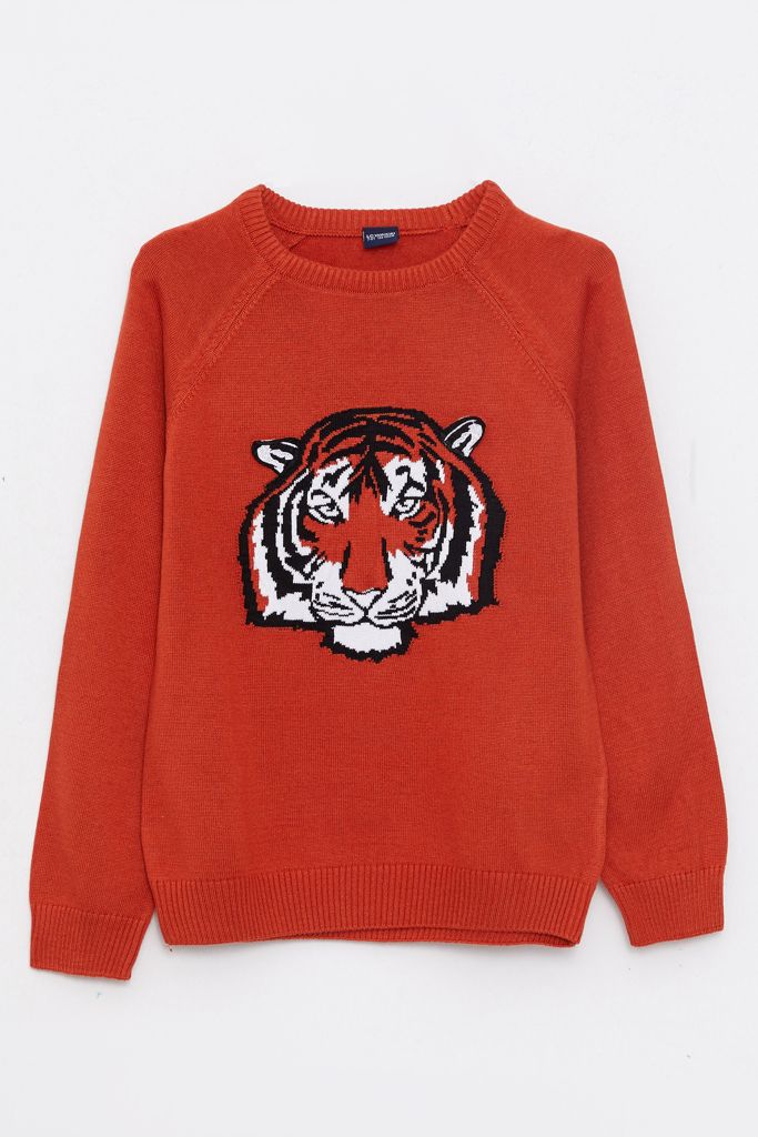 Moudda LC Waikiki - Pull-Over - 1