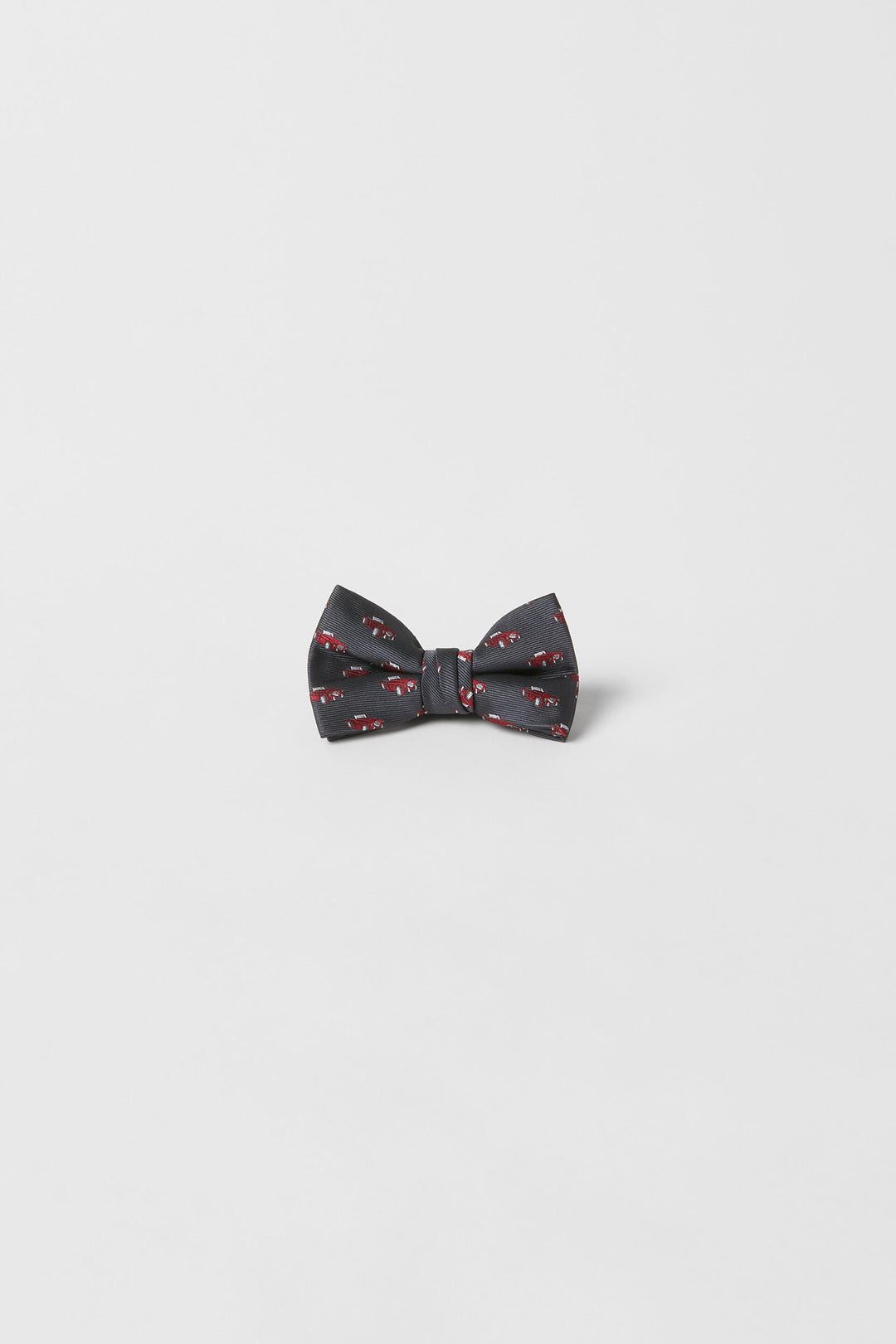 Papillon