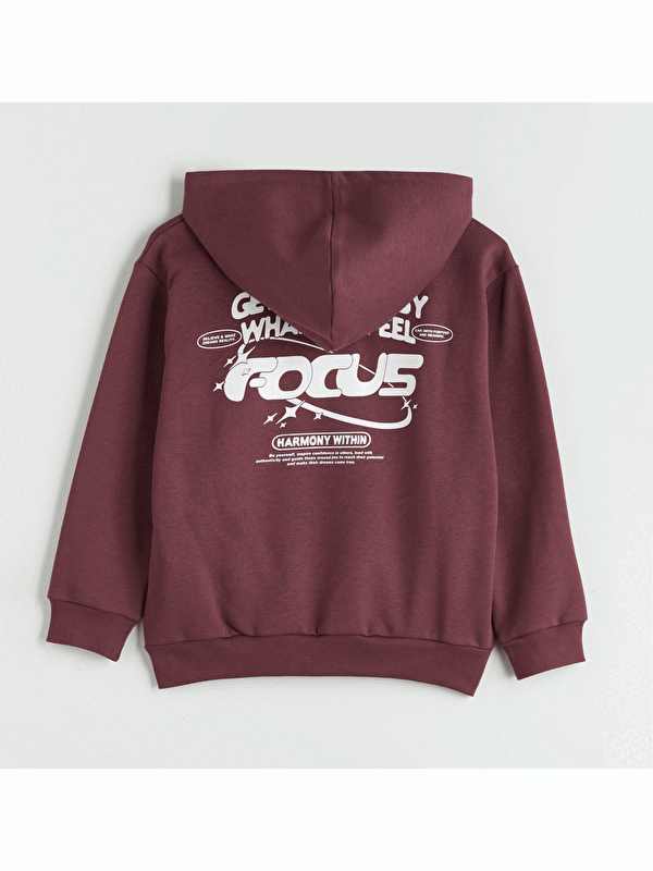 Moudda LC Waikiki - Sweatshirt en jersey Garçon Prune - Tunisie 3