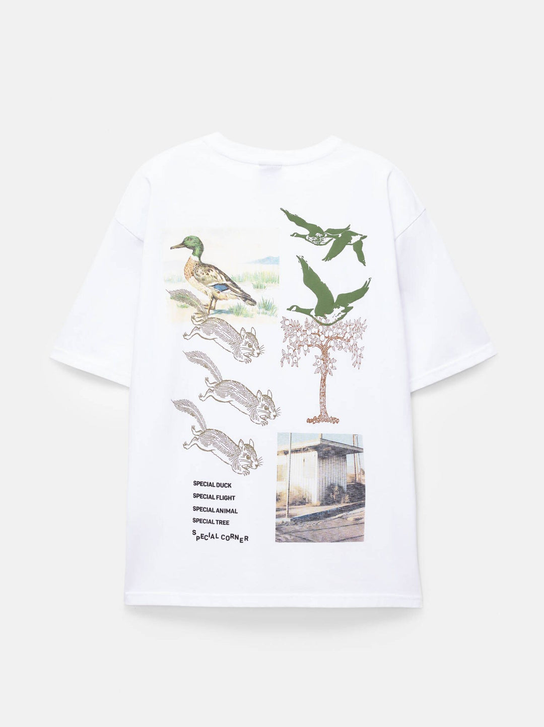 Moudda PULL & BEAR - T-Shirt - Canard (Arabes) - Tunisie 3