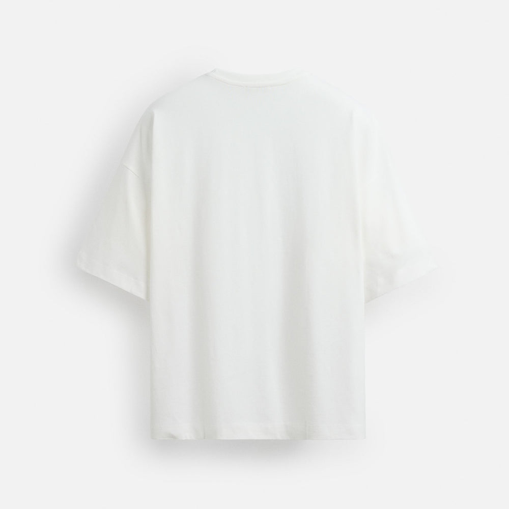 Moudda ZARA - T-Shirt - Photo & Coupe Horizontale - Tunisie 2