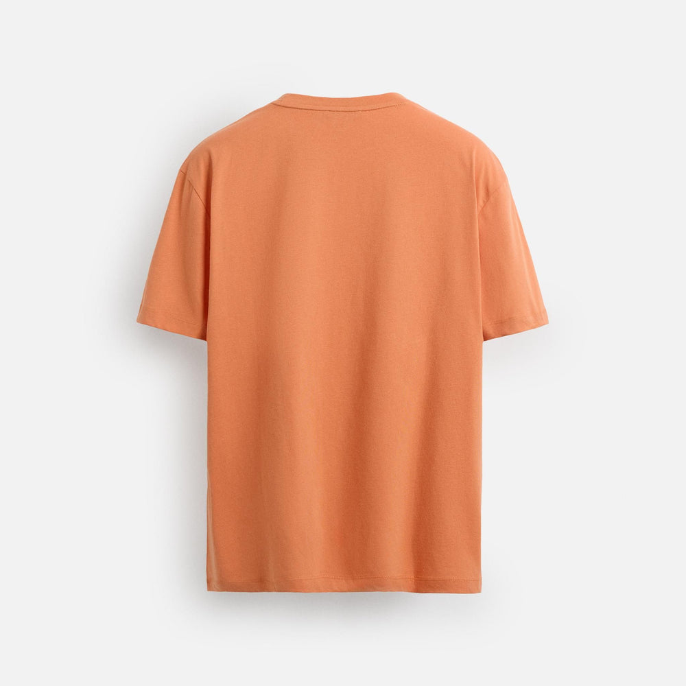 Moudda ZARA - T-Shirt - Fini Peach & Zone Circulaire - Tunisie 2