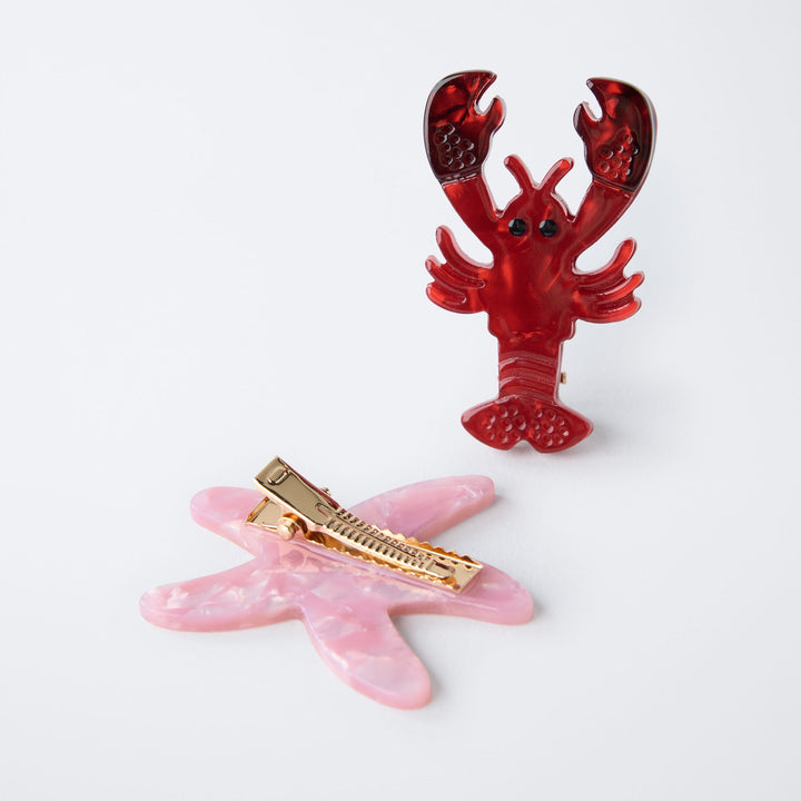 Moudda ZARA - Pack Pinces - Langouste & Étoile de Mer - Tunisie 3