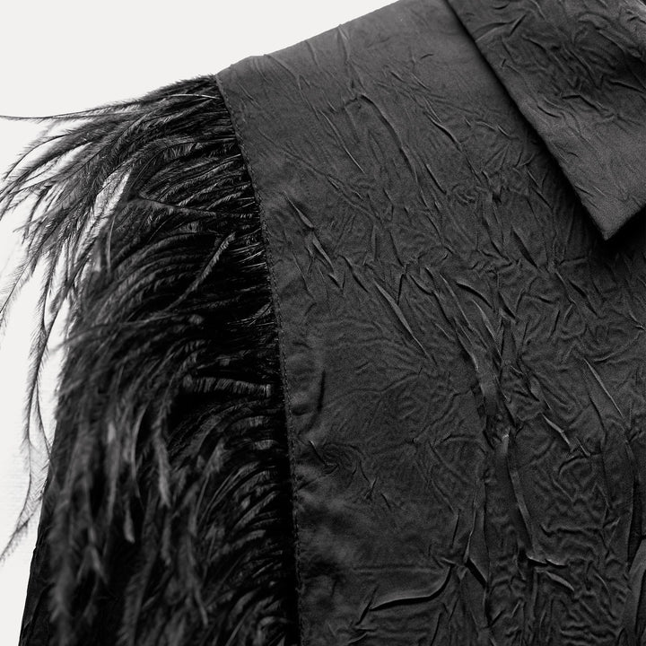 Moudda ZARA - Chemise manches longues tissu froissé fantaisie plumes - Tunisie 1