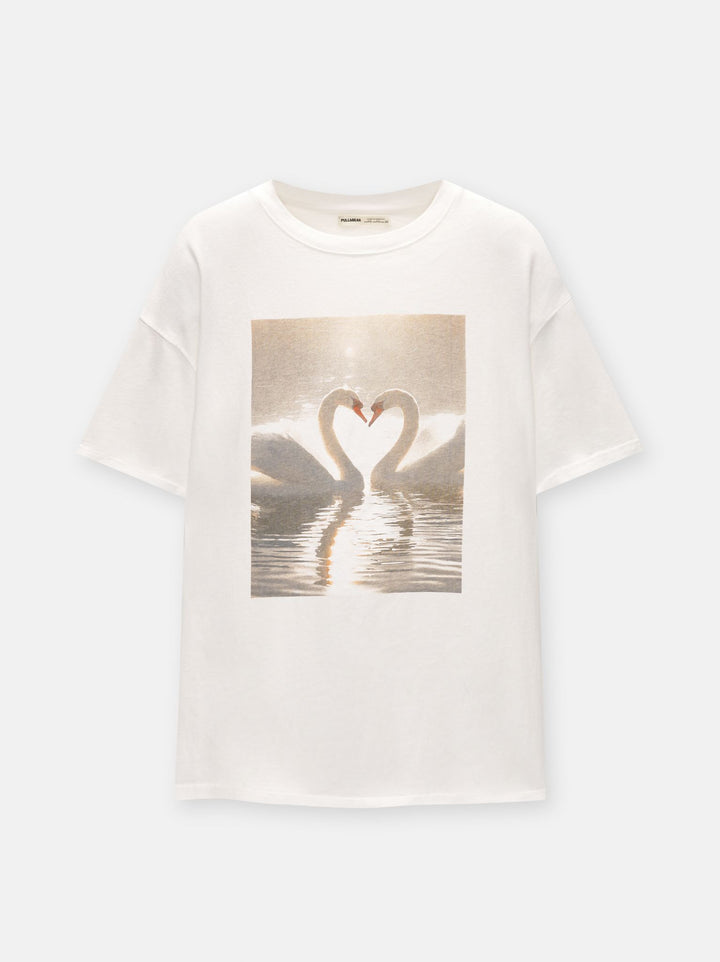Moudda PULL & BEAR - Body Photo Cygnes - Tunisie 4