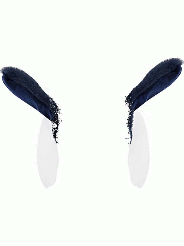 Moudda LC Waikiki - Cache-oreilles Garçon Bleu marine foncé - Tunisie 5