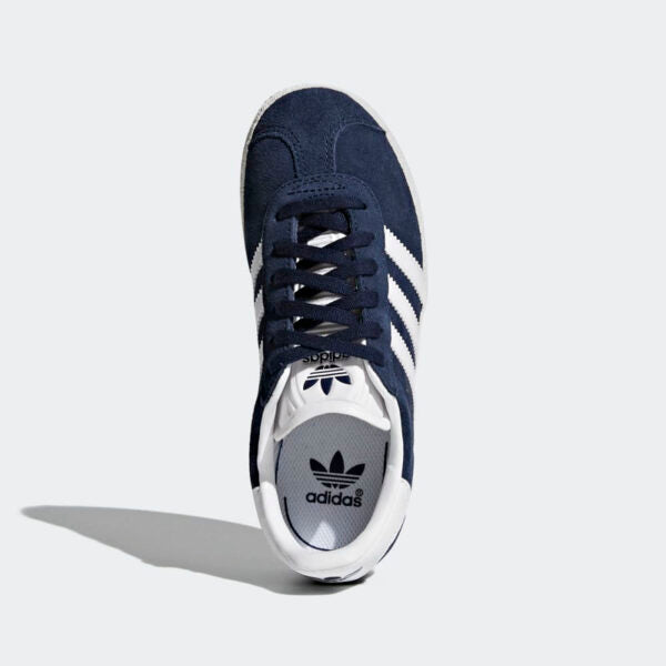 GAZELLE C