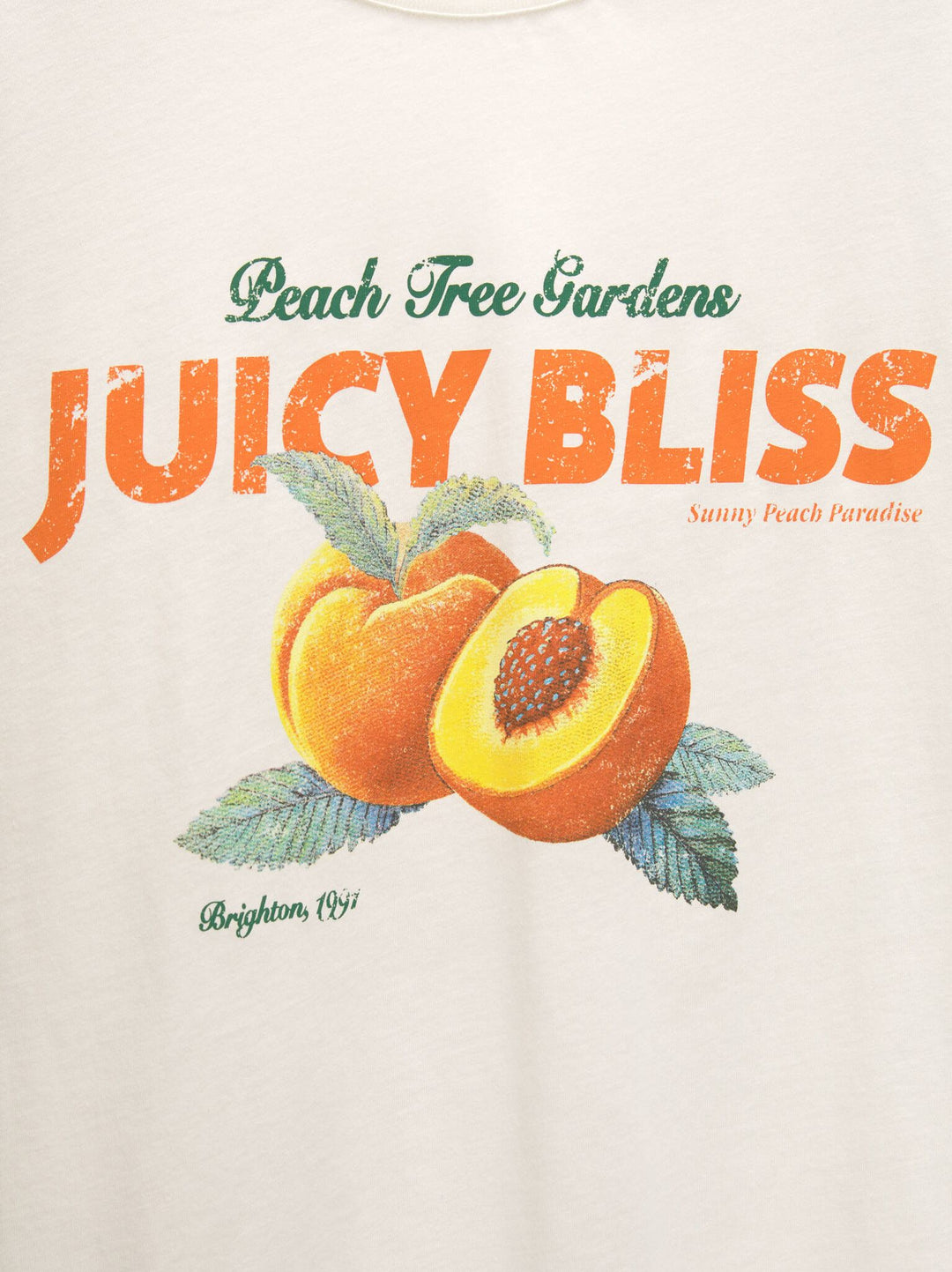 Moudda PULL & BEAR - Body Graphique Illustration Fruits - Tunisie 3