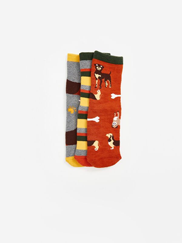 Moudda LC Waikiki - Chaussettes  Cheville pour Garçons - Tunisie 2
