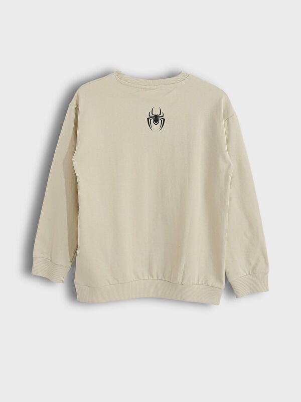 Moudda LC Waikiki - Sweatshirt en jersey sous licence Garçon Gris clair - Tunisie 2